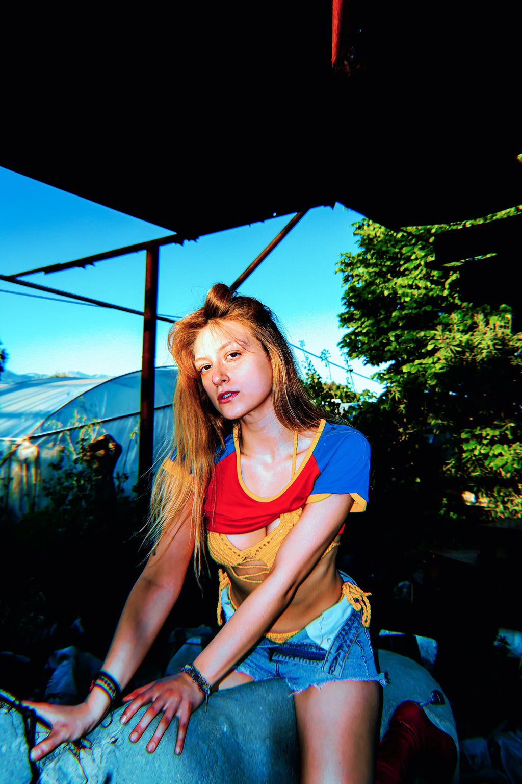 The Phoenix Remix Crop Tee T- Shirts LUNARITY GARAGE   