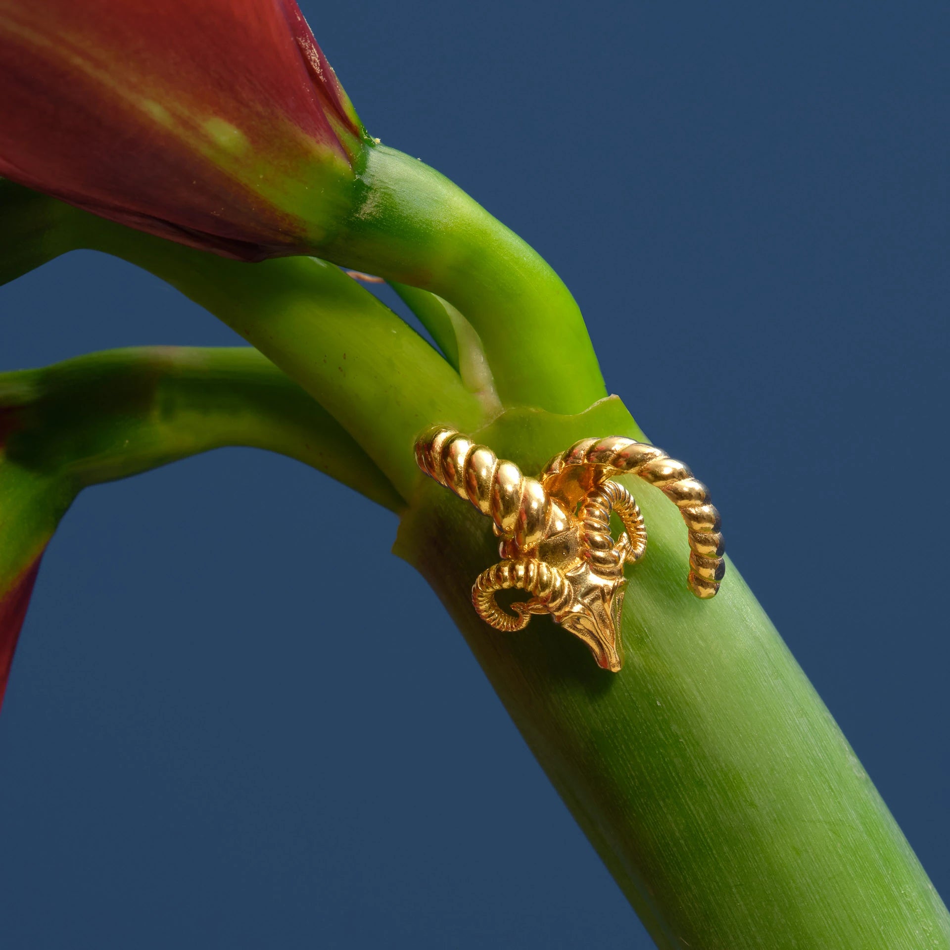 Ram’s Horn Earring (Single) Earrings LUNARITY GARAGE
