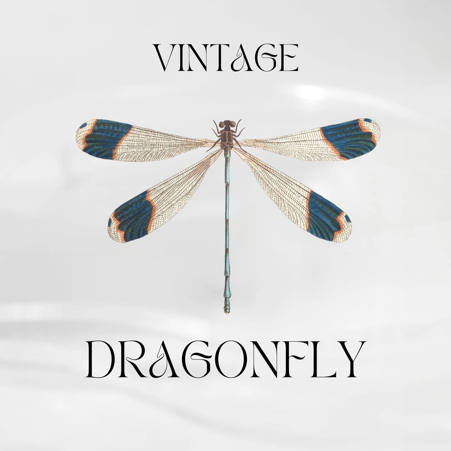 Dragonfly Necklace Necklace LUNARITY GARAGE